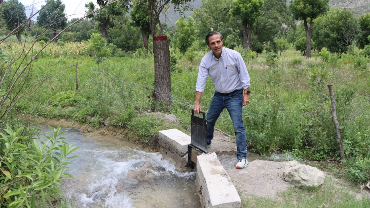 Realizan labores para ahorrar agua en producción nogalera