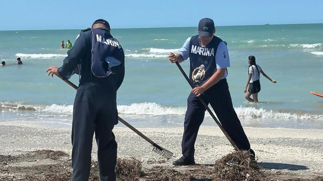 Refuerzan limpieza por hidrocarburo en Golfo de México