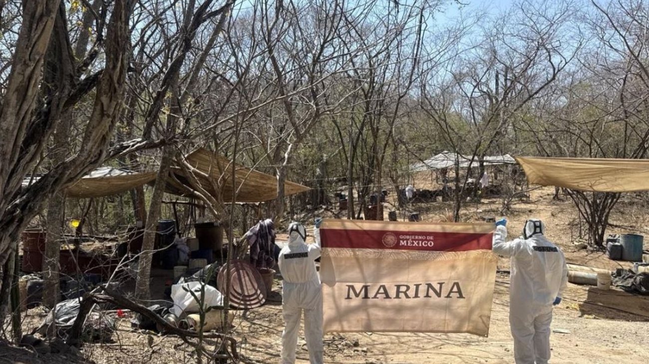 Marina desmantela narcolaboratorio en Sinaloa
