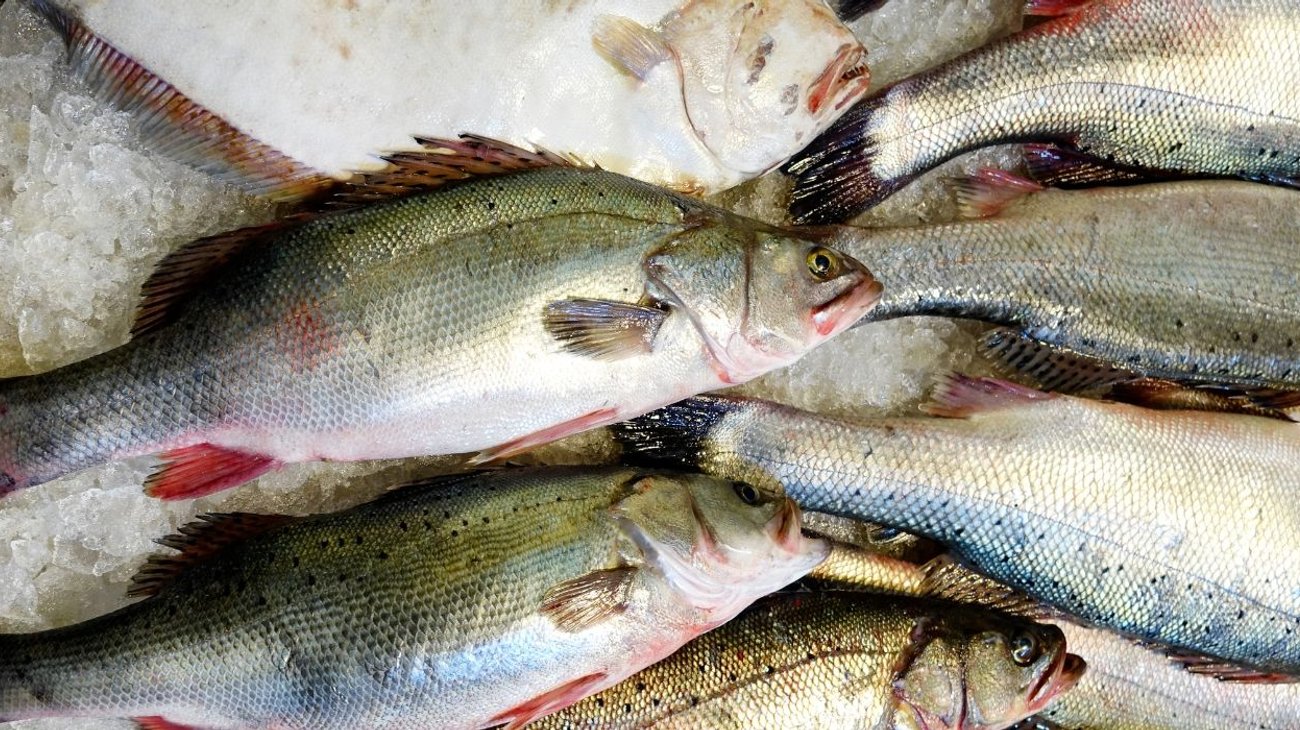 Este es el error más común al cocinar mariscos que debes evitar