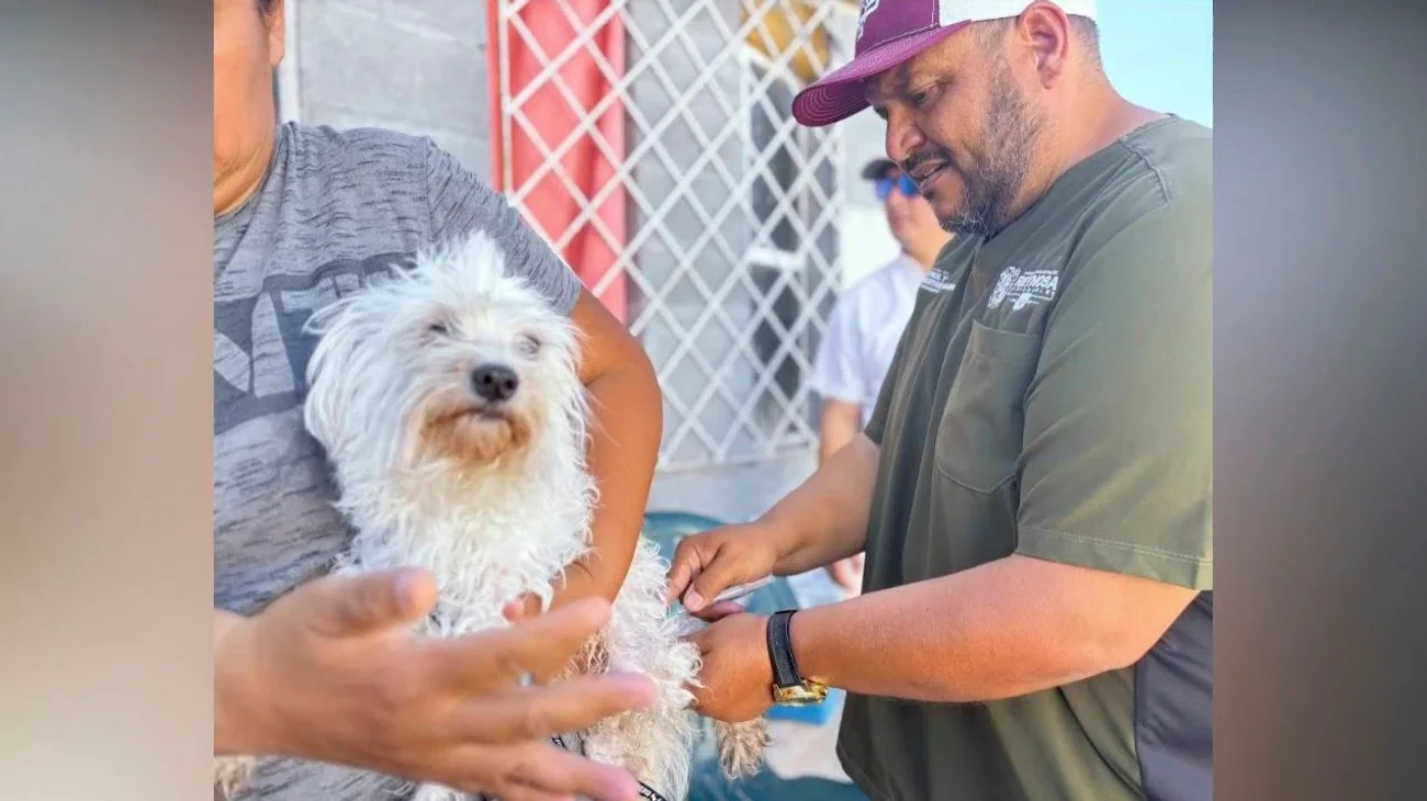 Atiende Bienestar Animal a mascotas afectadas por inundaciones
