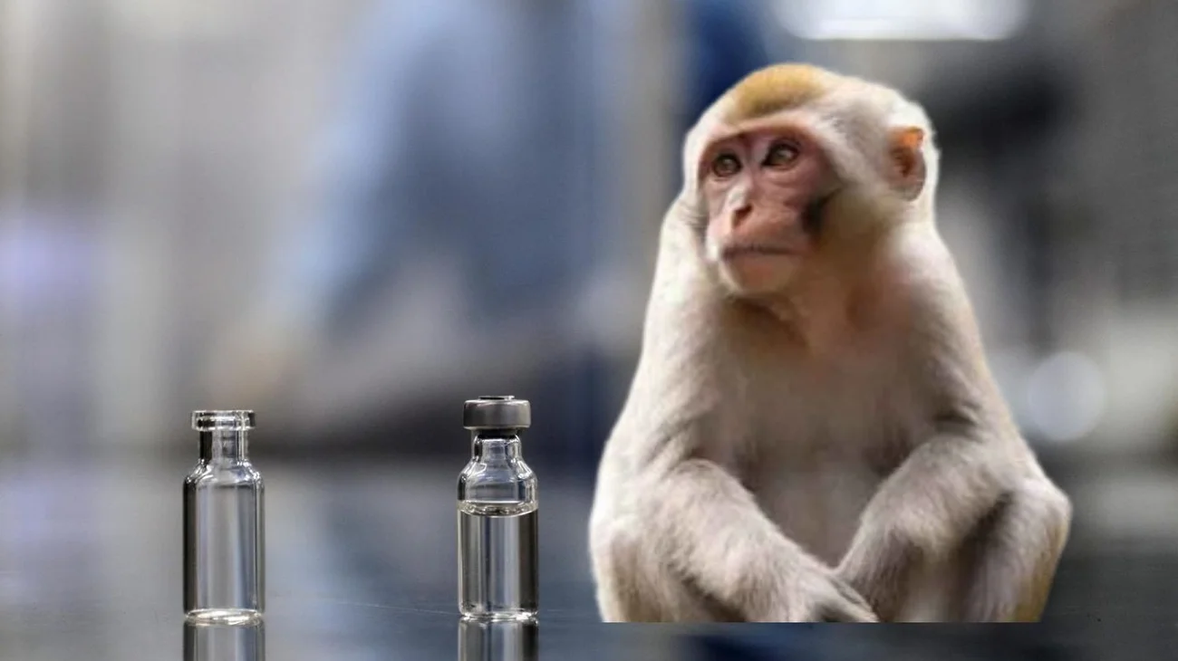 México aprueba vacuna 'Jynneos', contra la viruela del mono