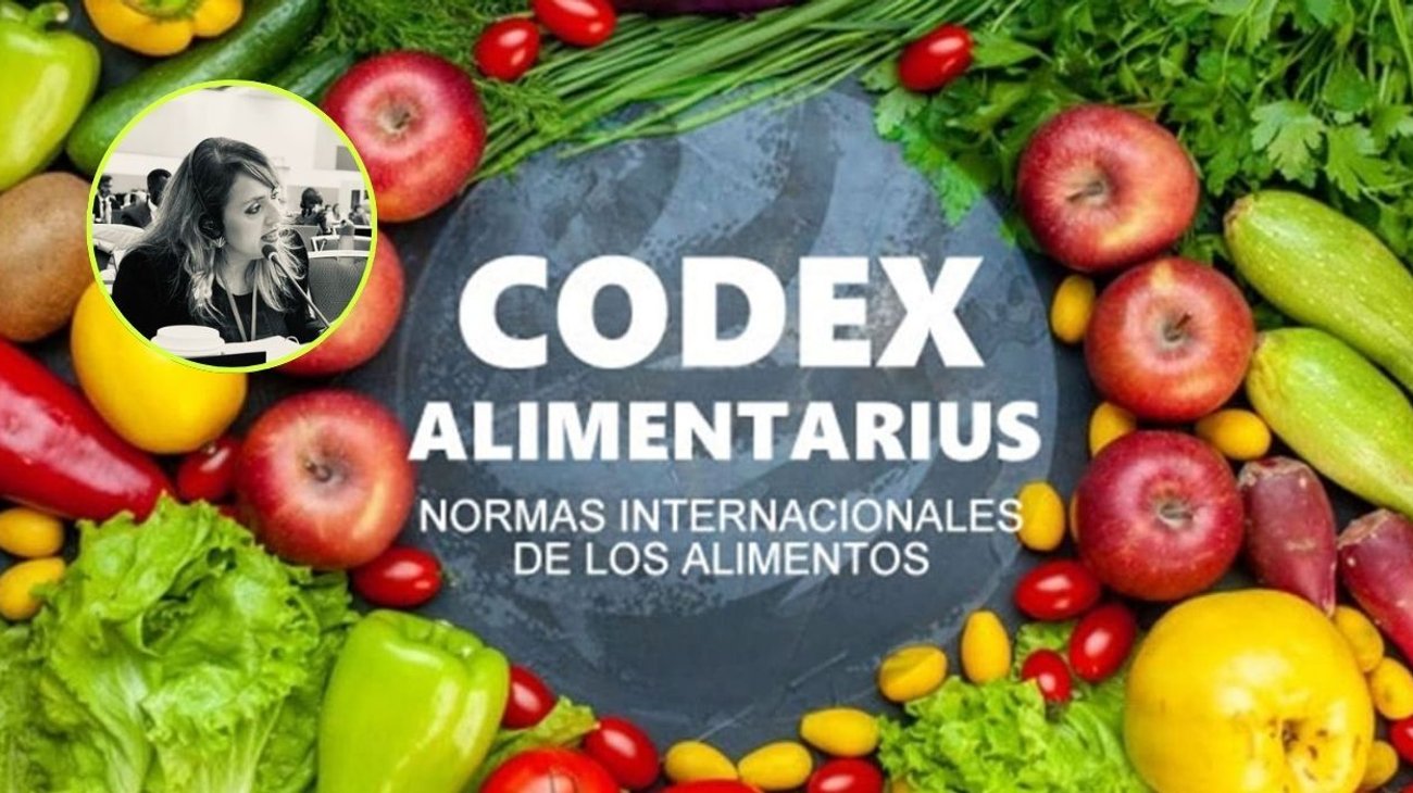 mexico_codex_66d6a63ec8