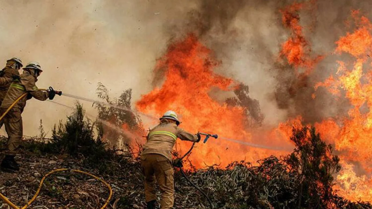 mexico_incendios_b207a99d75