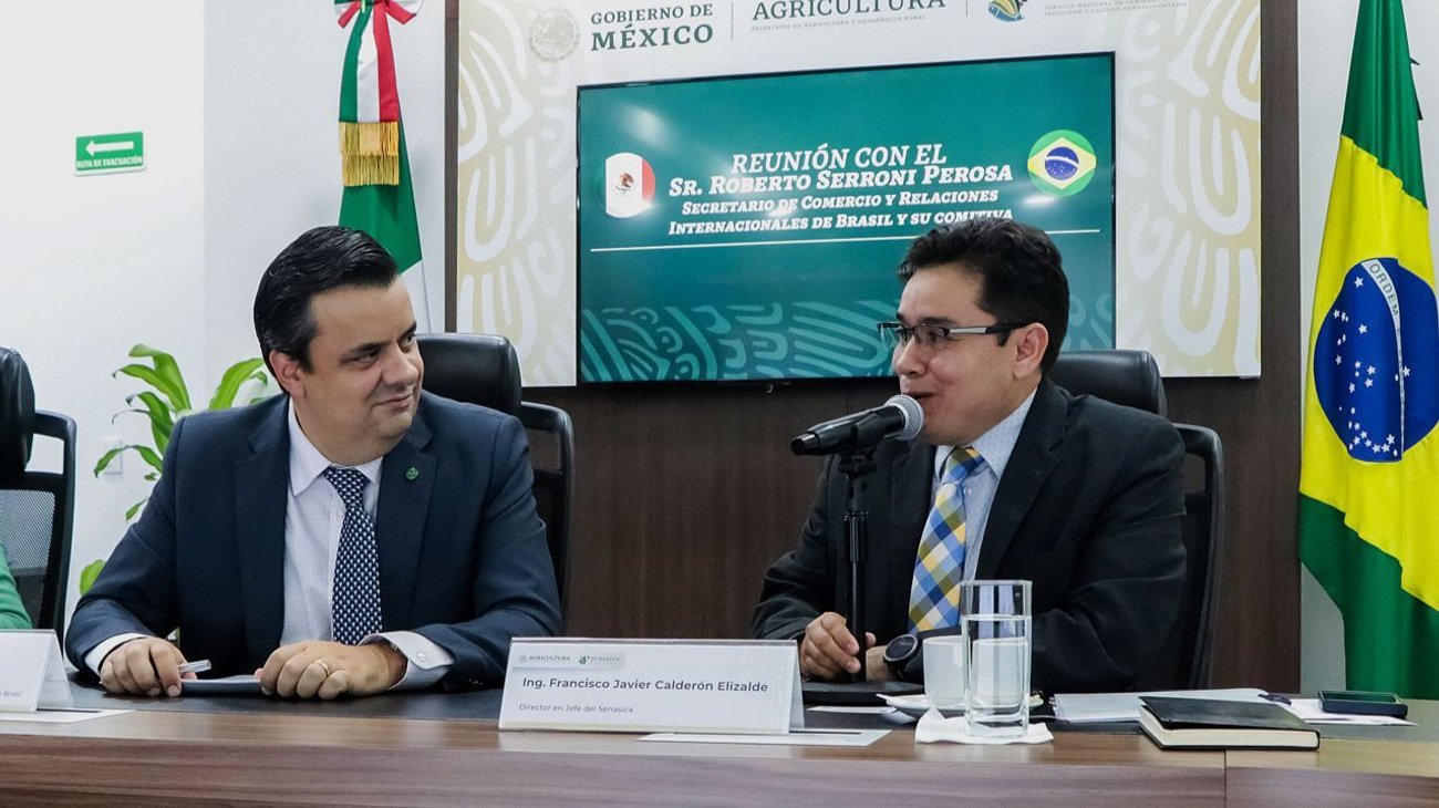 México y Brasil buscan protocolos para evitar la gripe aviar