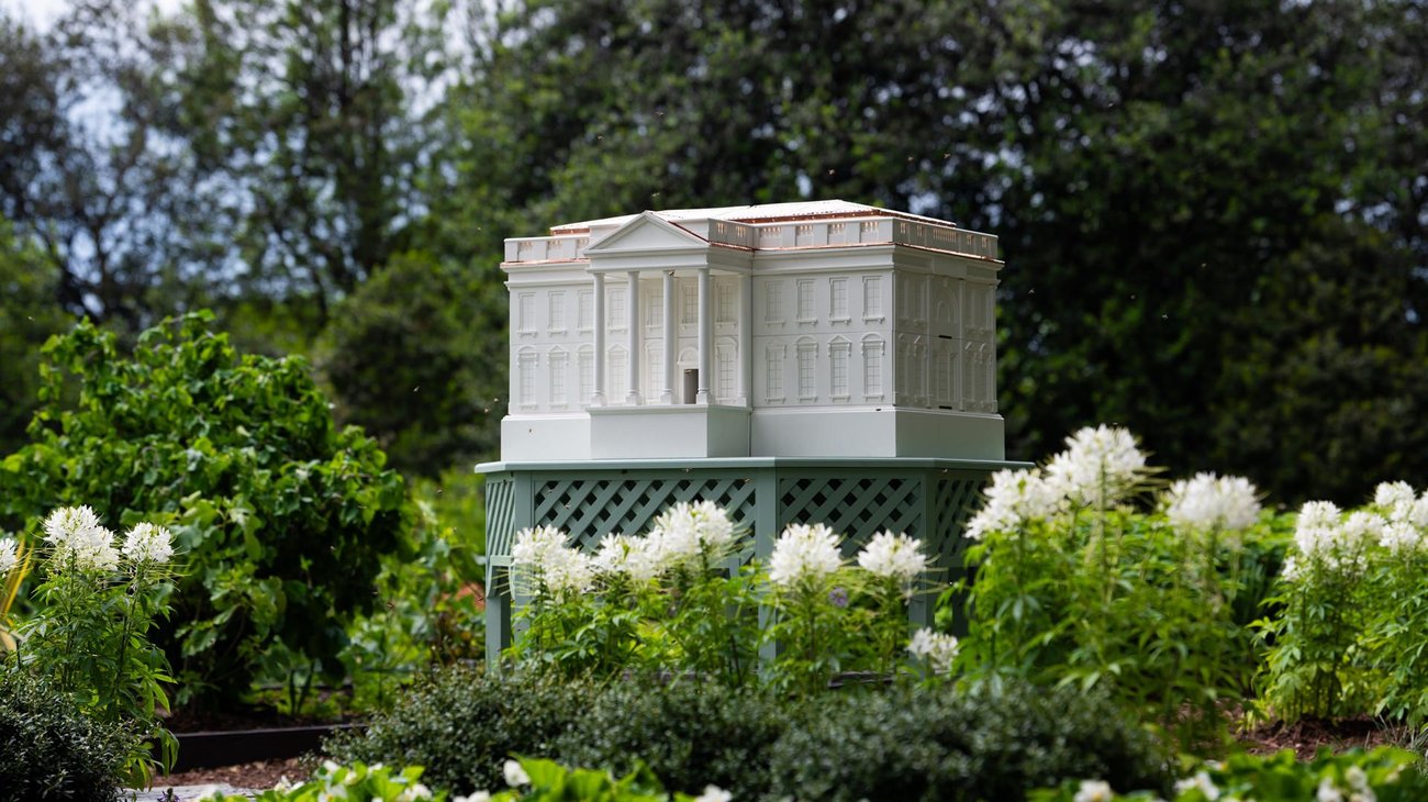 miel_colmena_casa_blanca_d50203fba2