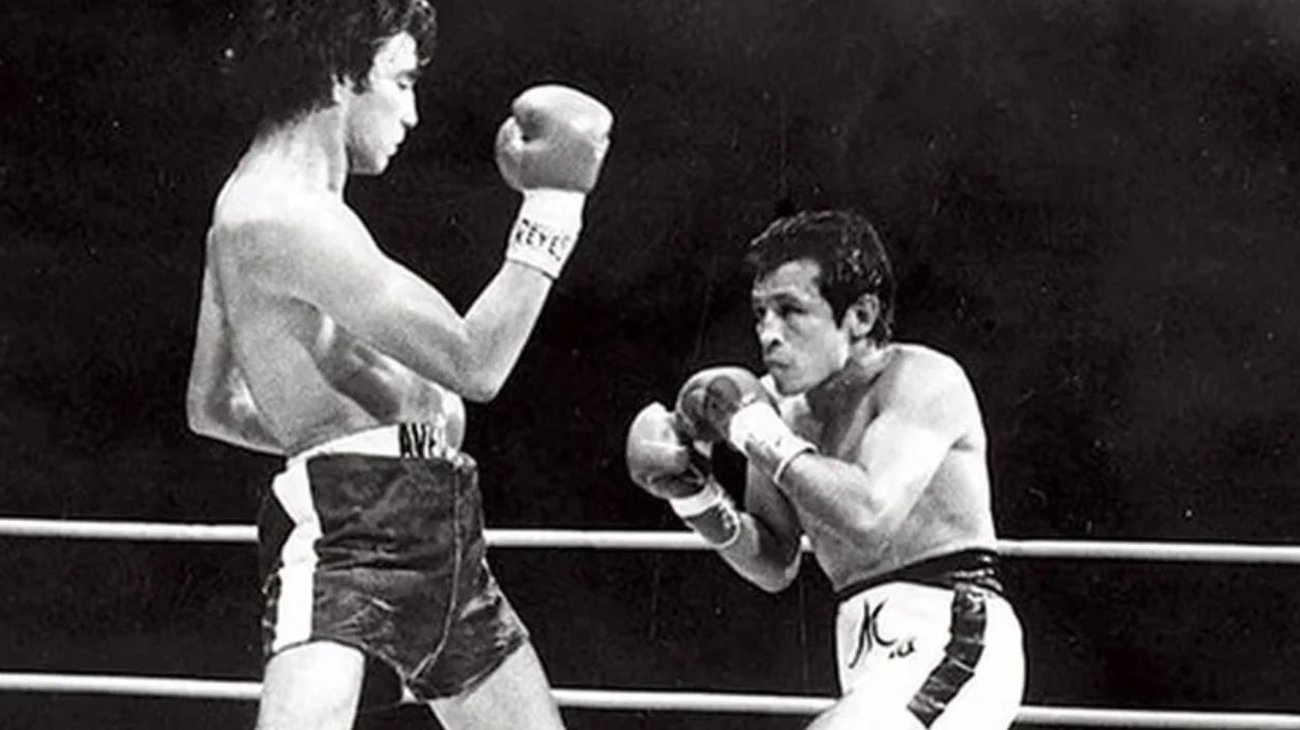 miguel_canto_box_01b49c9730