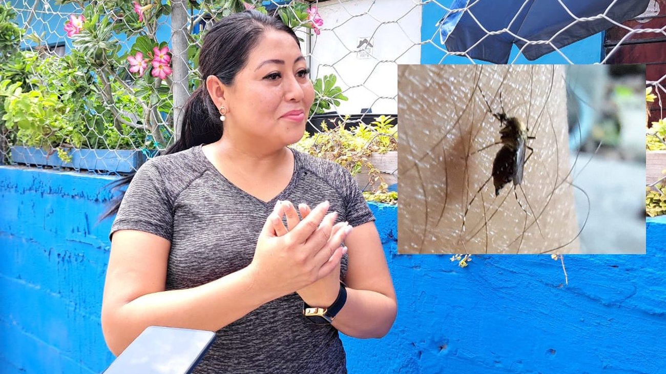 Ahuyentan moscos a turistas en el sur de Tamaulipas