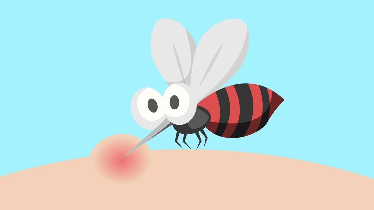 mosquito_zancudo_535fe21ac4