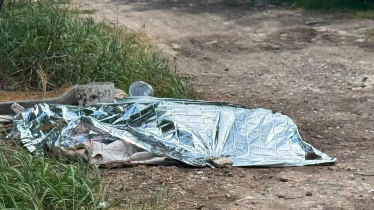 Adulto mayor muere tras ataque de abejas en colonia Libertad