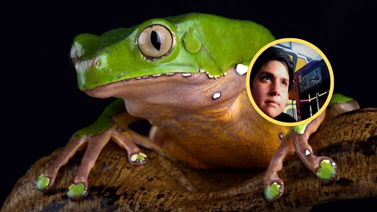 Muere mujer por beber veneno de rana en retiro espiritual