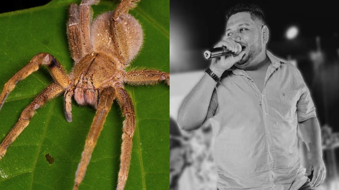 Muere cantante de 28 años tras extraña picadura de araña