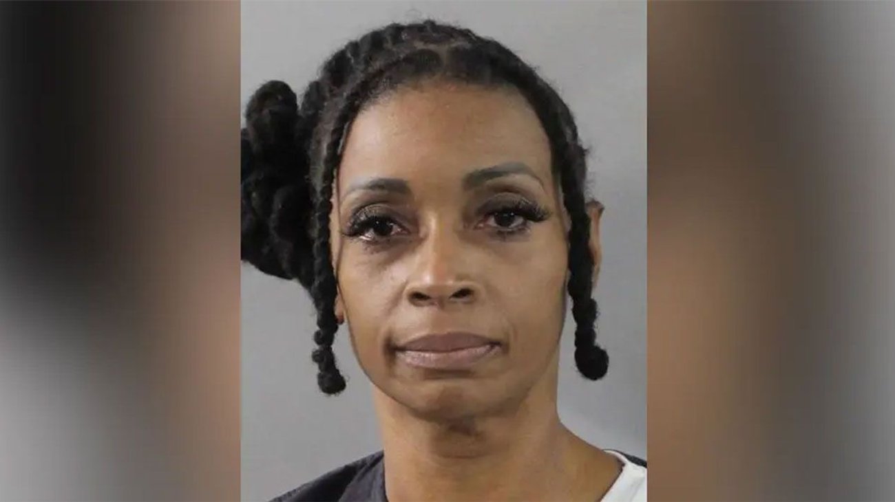 Mujer envenena a 2 gatos y una perrita embarazada de vecino