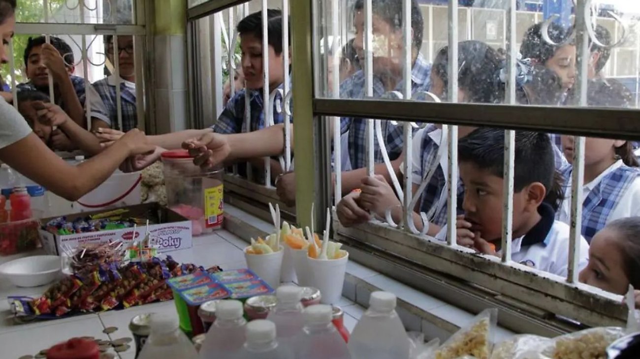 nacional_venta_de_alimentos_escuelas_4d8fe705e1