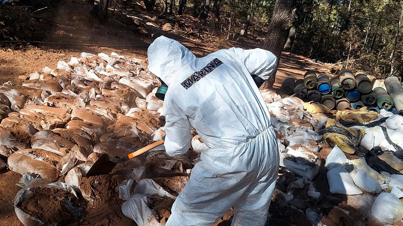 La Marina desmantela un narcolaboratorio en Zacatecas