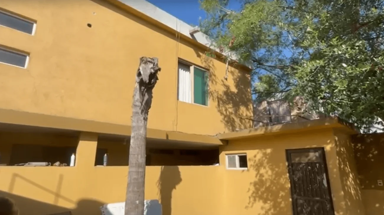 negocio_Apodaca_tortilleria_43fedd3324