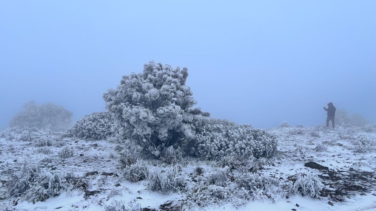 Tormenta invernal y frente frío helarán el norte del país