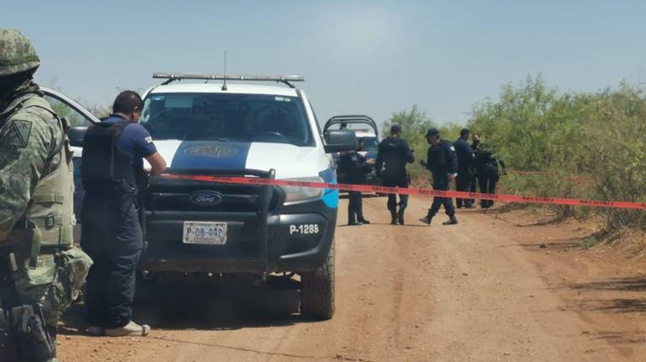 Niños encuentran cráneo humano mientras jugaban