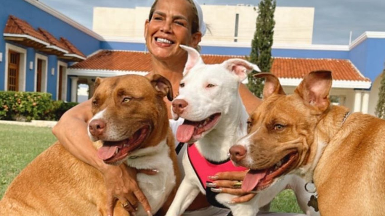 ¿Niurka sacrifica perros para rituales de santería?