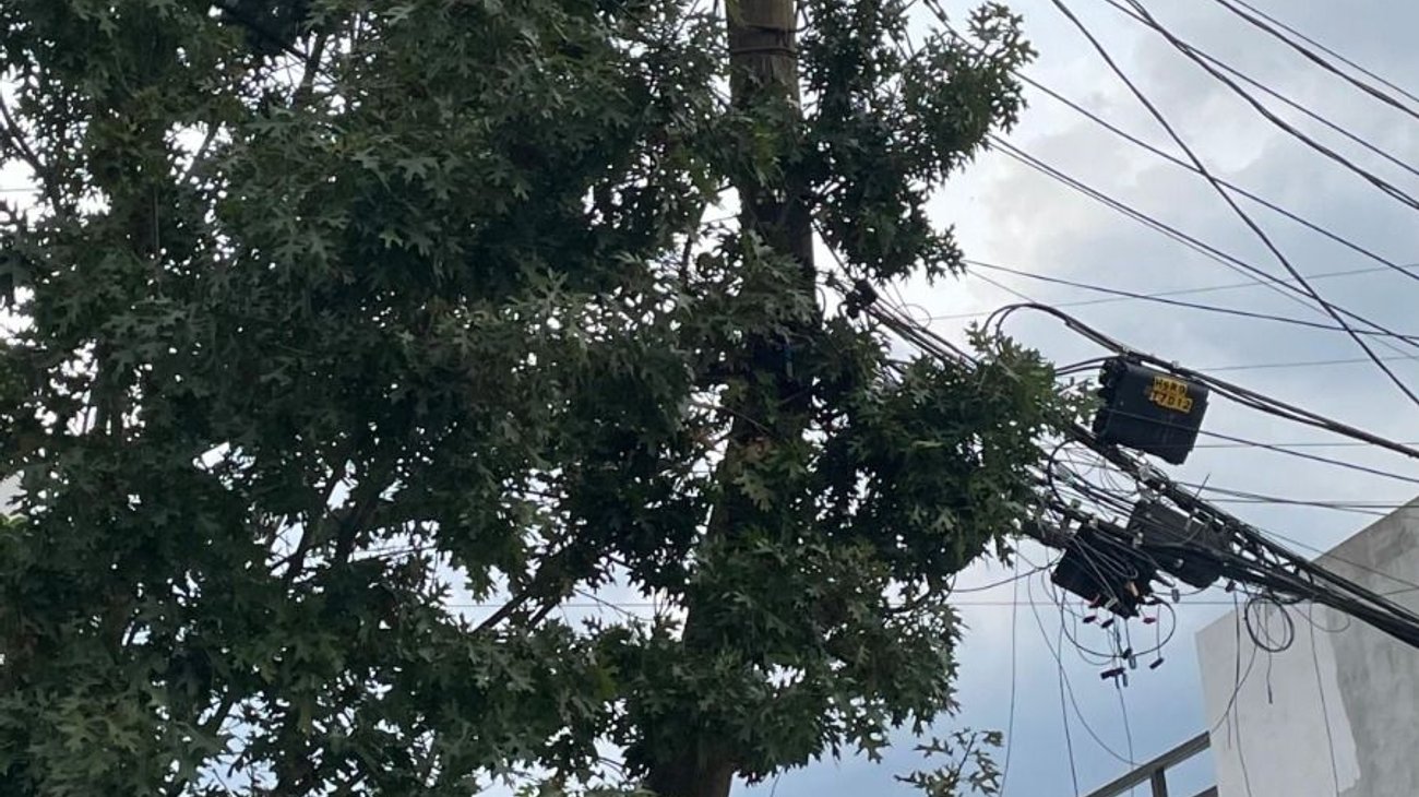 Ramas ponen en jaque a la red eléctrica de Nuevo León