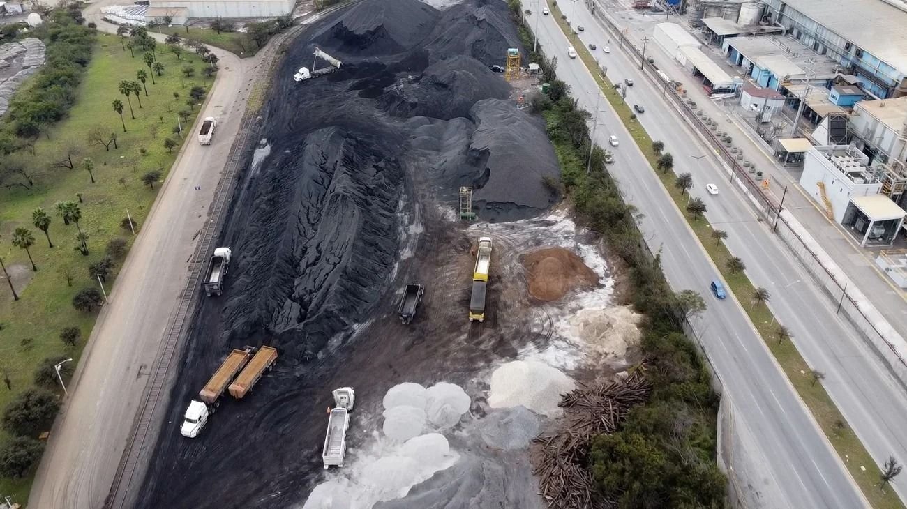 nl_gigantes_toxicos_b198bf6493