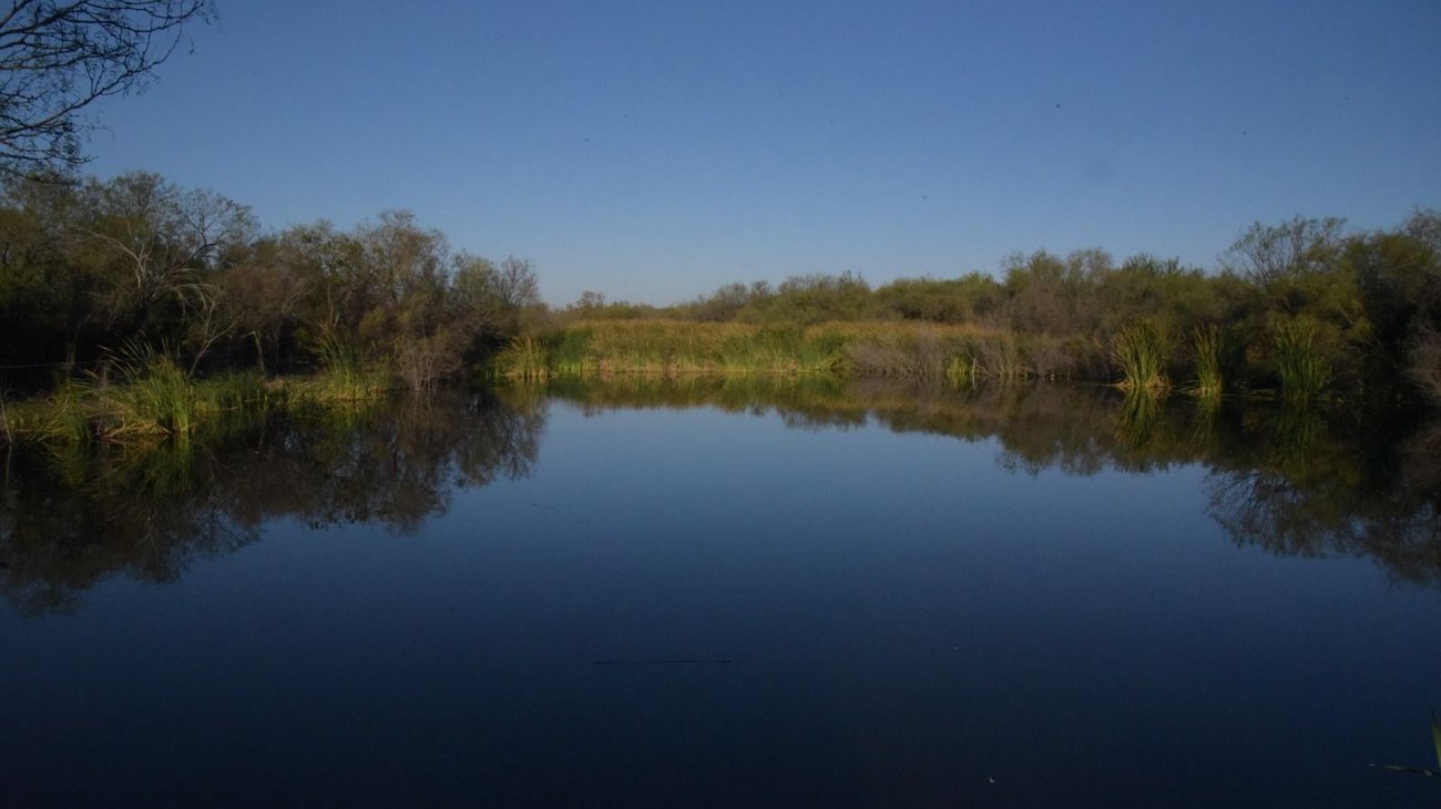 nl_humedales_zuazua_2b28082fc3