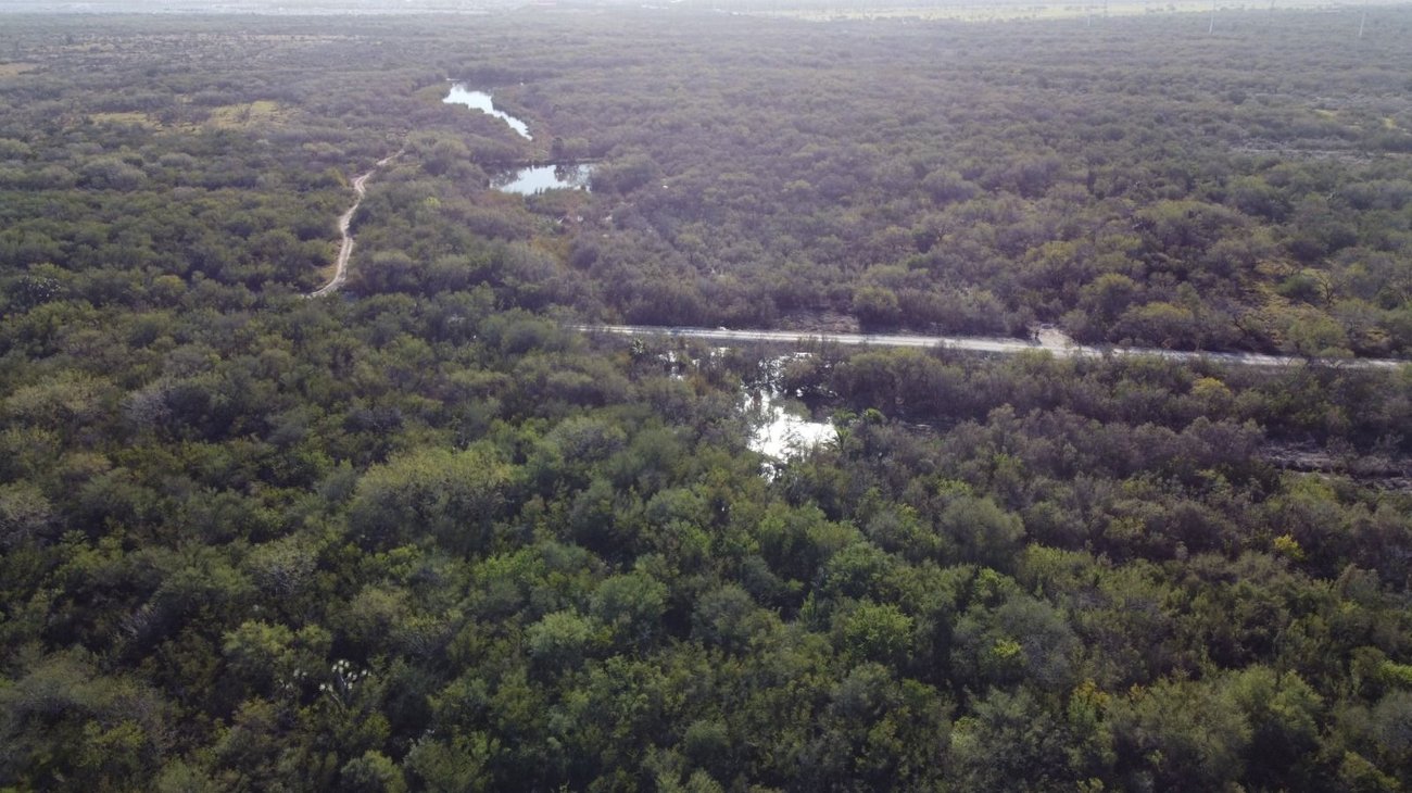 nl_humedales_zuazua_4cfa5697eb