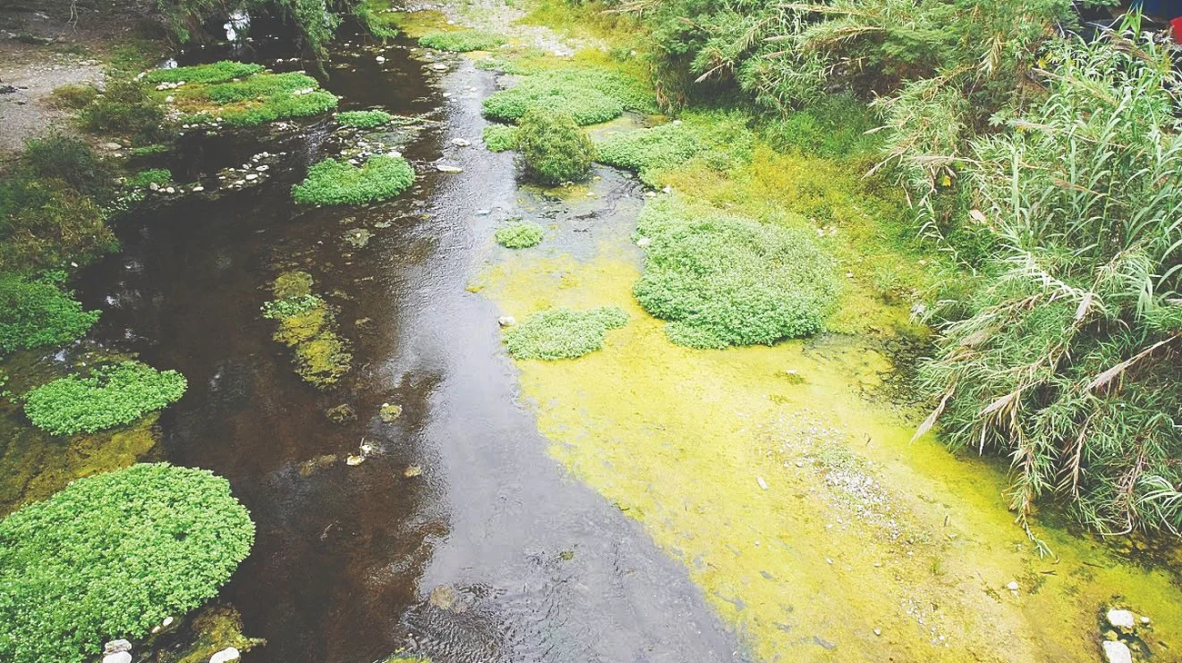 nl_la_chueca_cb4e4cce25