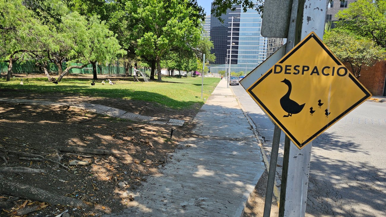 nl_patos_san_pedro_4d62daee76