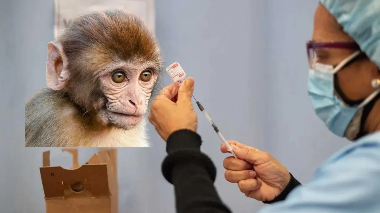 Confirman primer caso de Mpox en Baja California Sur