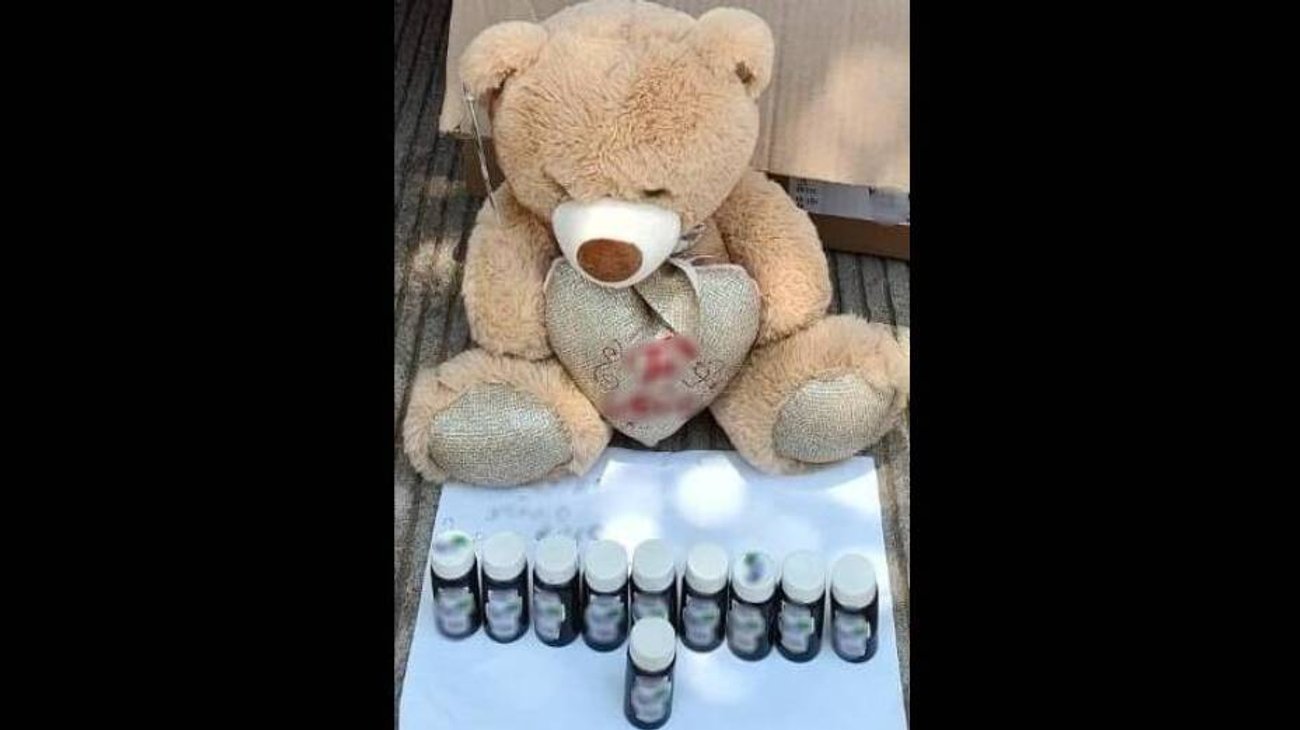 ¡Dentro de un oso! Así esconden droga en Sinaloa