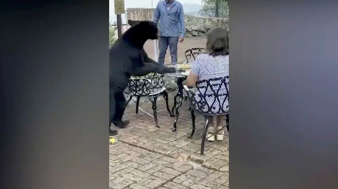 Aclara Parque Chipinque que no administra hotel