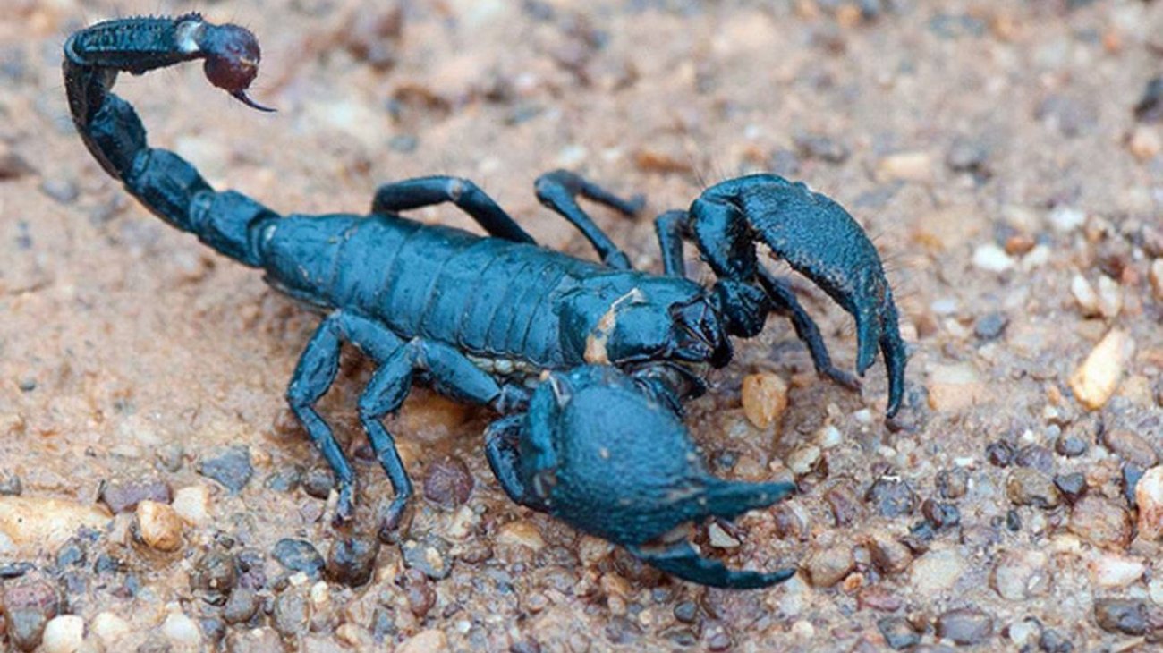 Paciente con cáncer acude a curandero por 'milagro' y muere