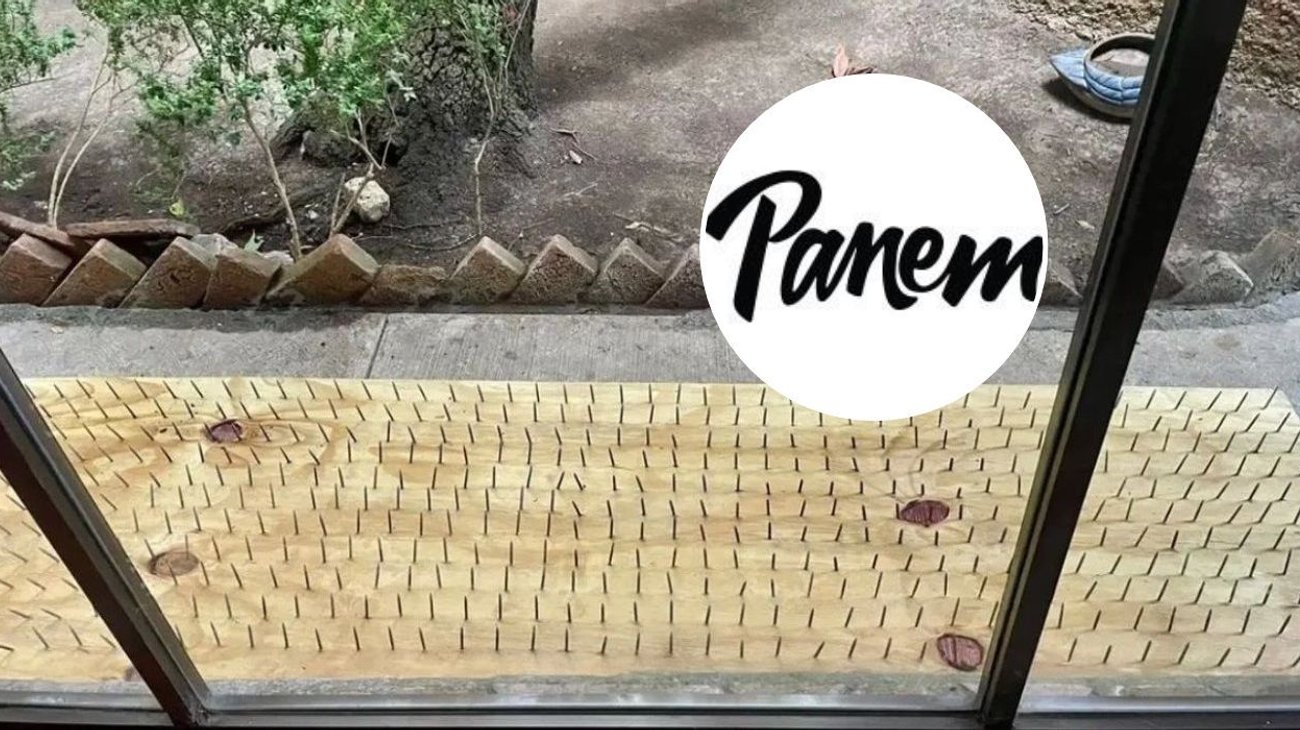 CEO Panem rechaza ser artífice de trampas antiosos en San Pedro