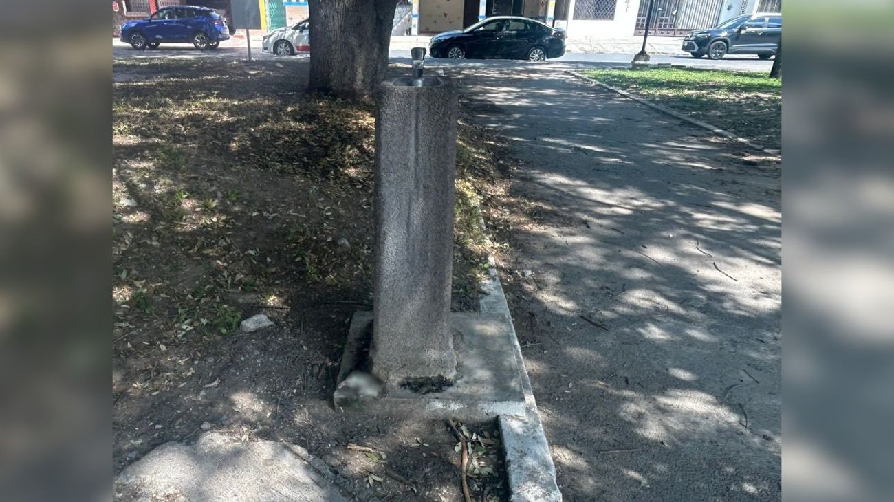 Reportan presencia de ratas muertas en parque Las Arboledas