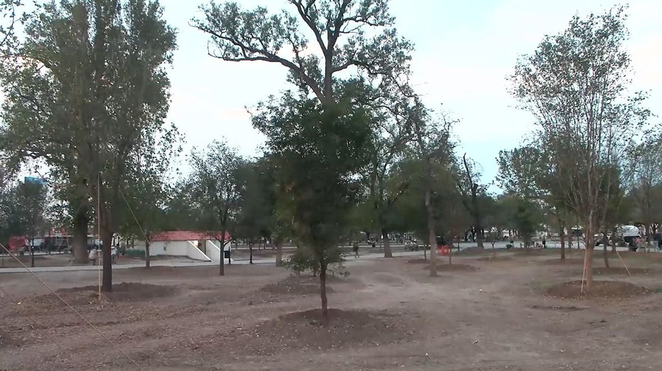 parque_la_alameda_mariano_escobedo_es_reforestado_77bec95d41