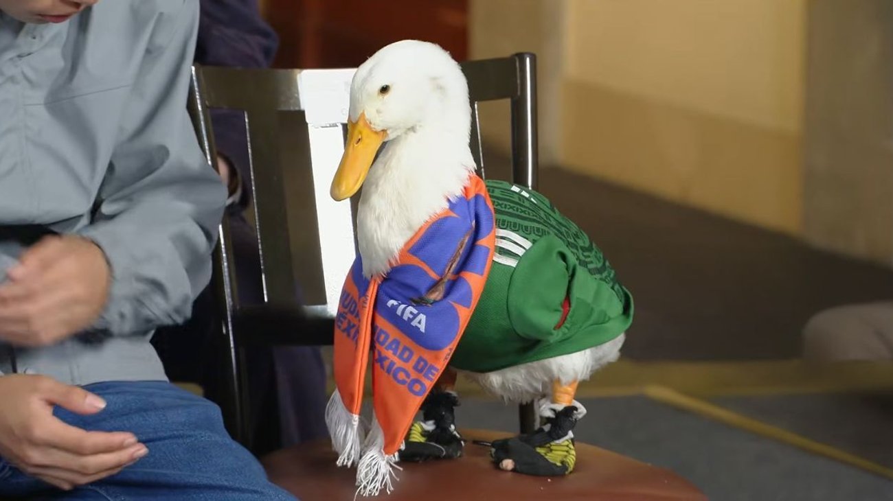 Pato Merlín estrena redes y recibe su registro en el IMPI