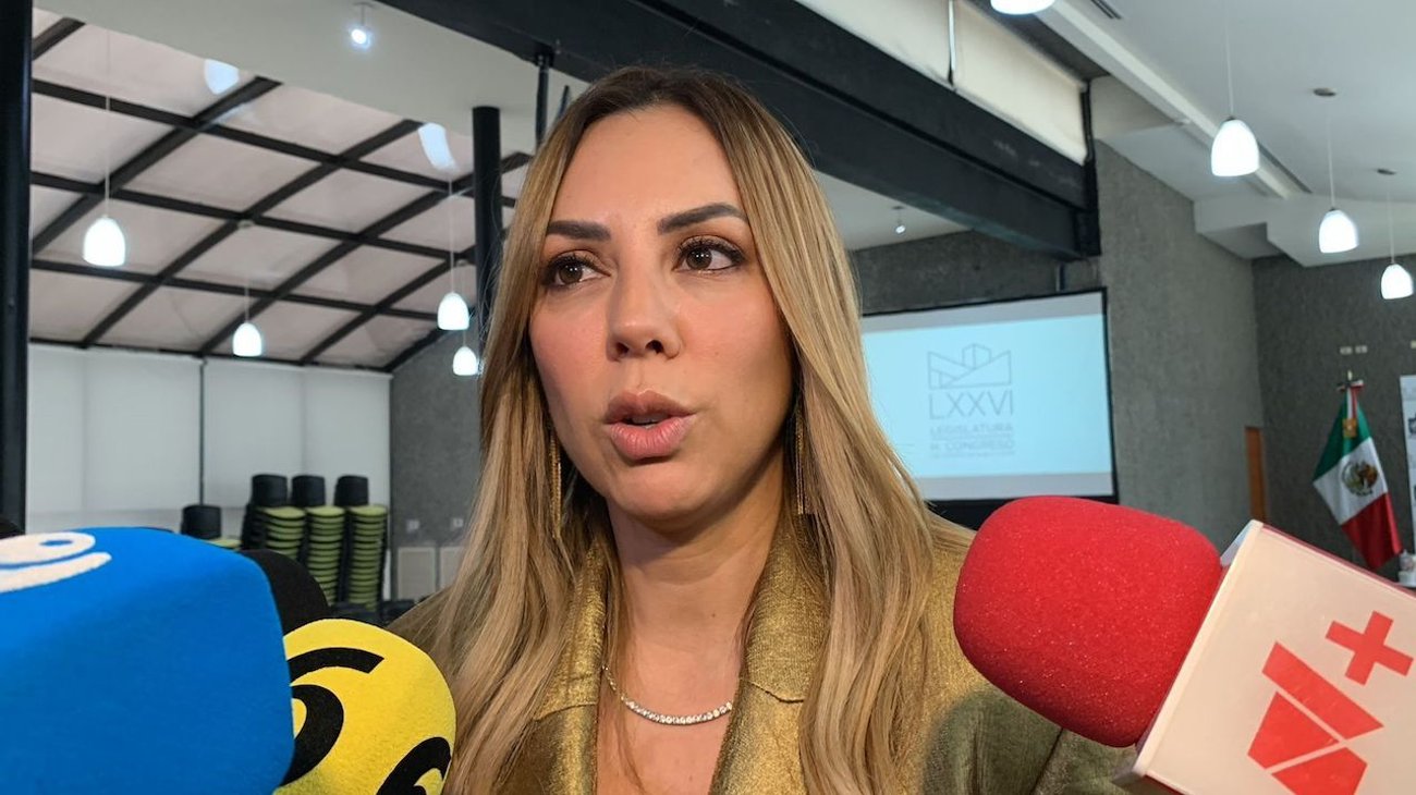 Ejecutivo no cumple con sus obligaciones: Perla Villarreal