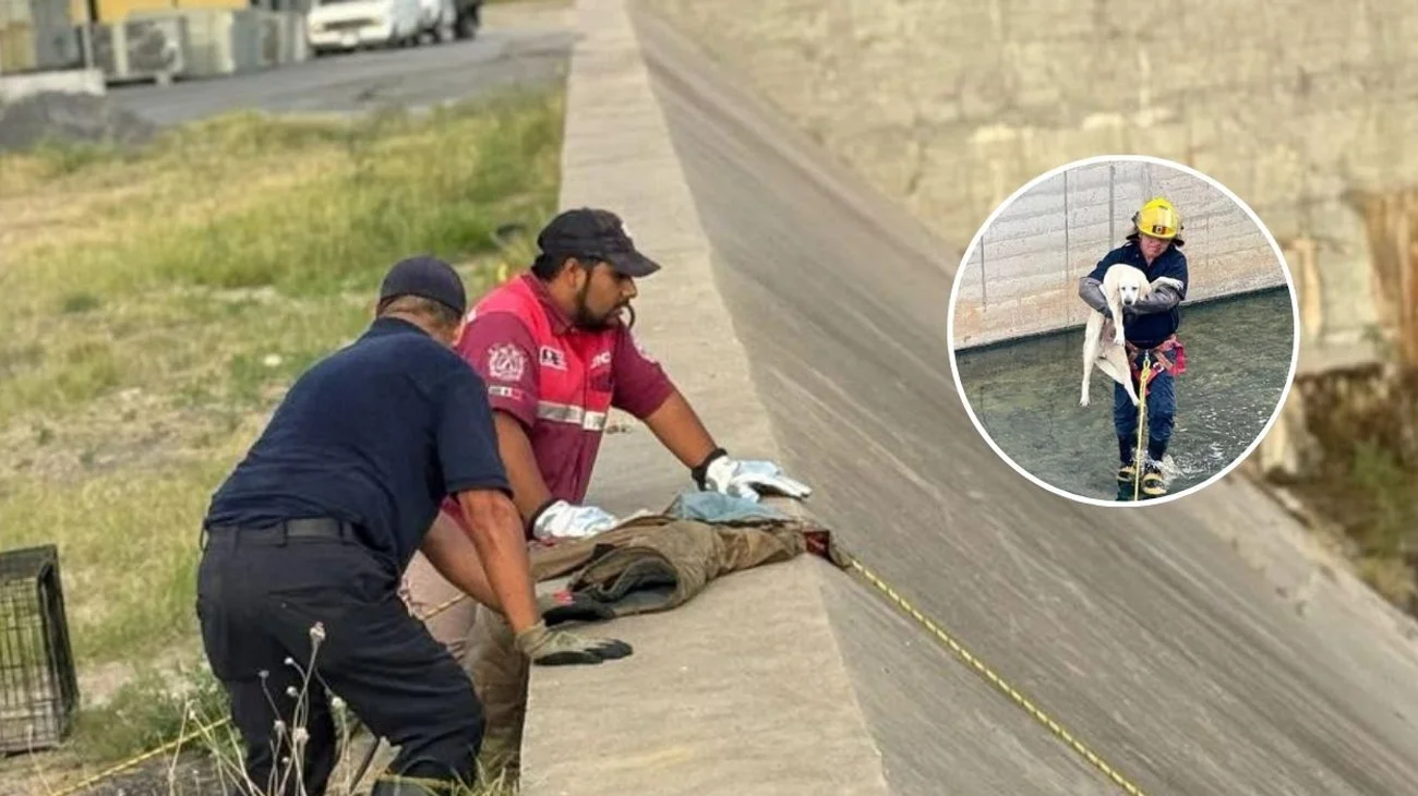 perrito_rescate_laredo_4e855f6d17