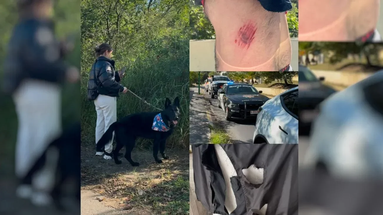 Denuncia formal a dueña de perro tras ataque en Sierra Alta