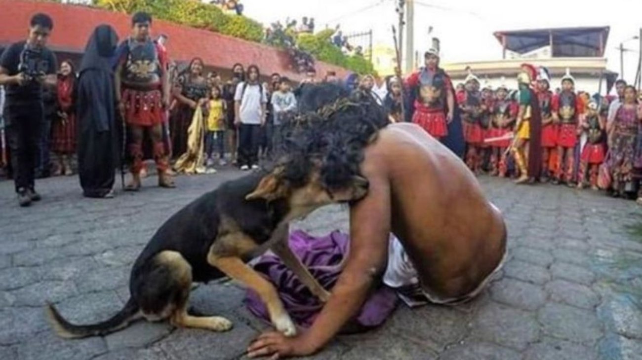 Perro consuela a intérprete de Jesús en pleno Viacrusis