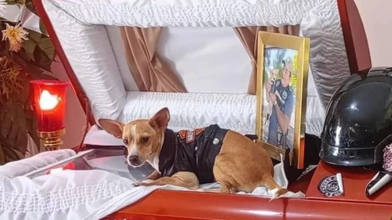 Perro acompaña a su dueño fallecido en accidente en Reynosa
