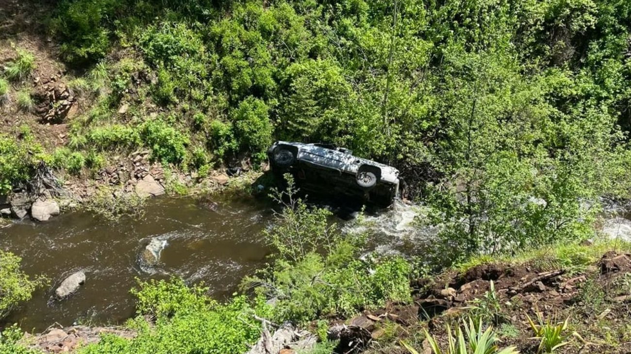 Perro héroe alerta a familia tras accidente en Oregón