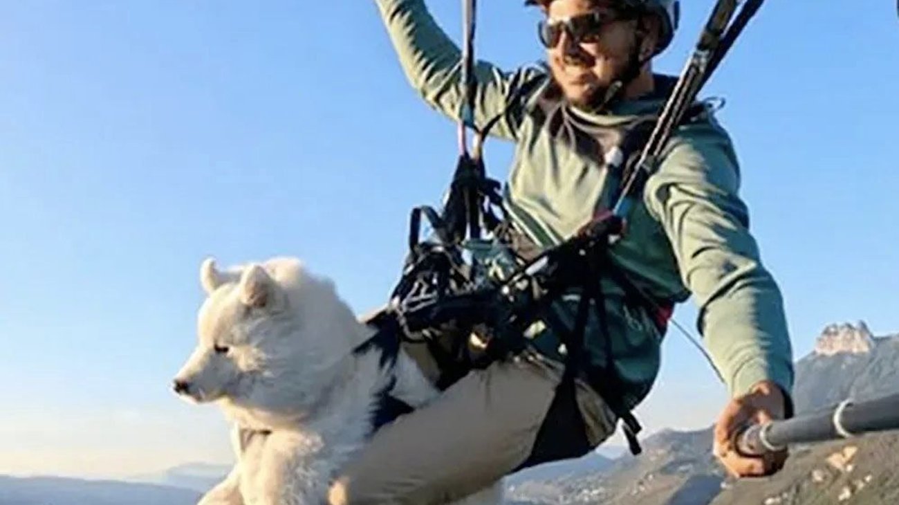 Salta con su perro en parapente; le tupen en redes