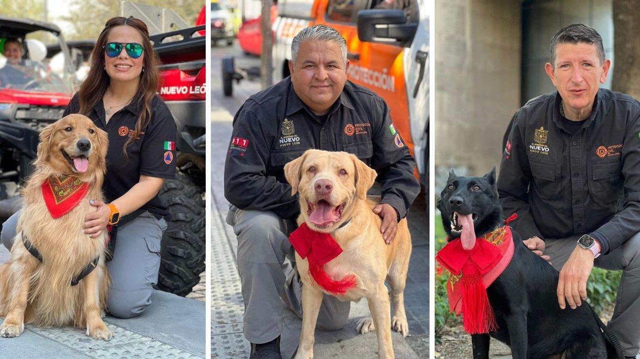 Roban 'perritos revolucionarios' miradas y aplausos en el desfile