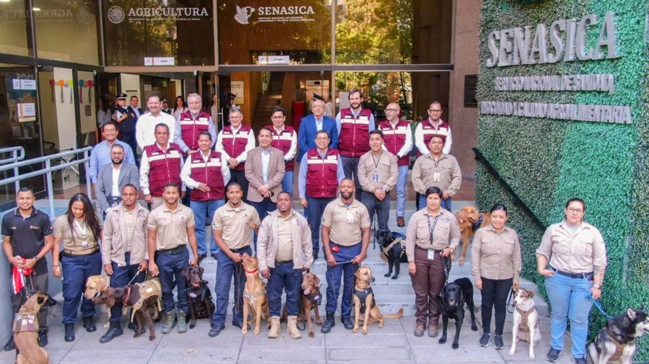 perros_mundial_2026_80fa73279c