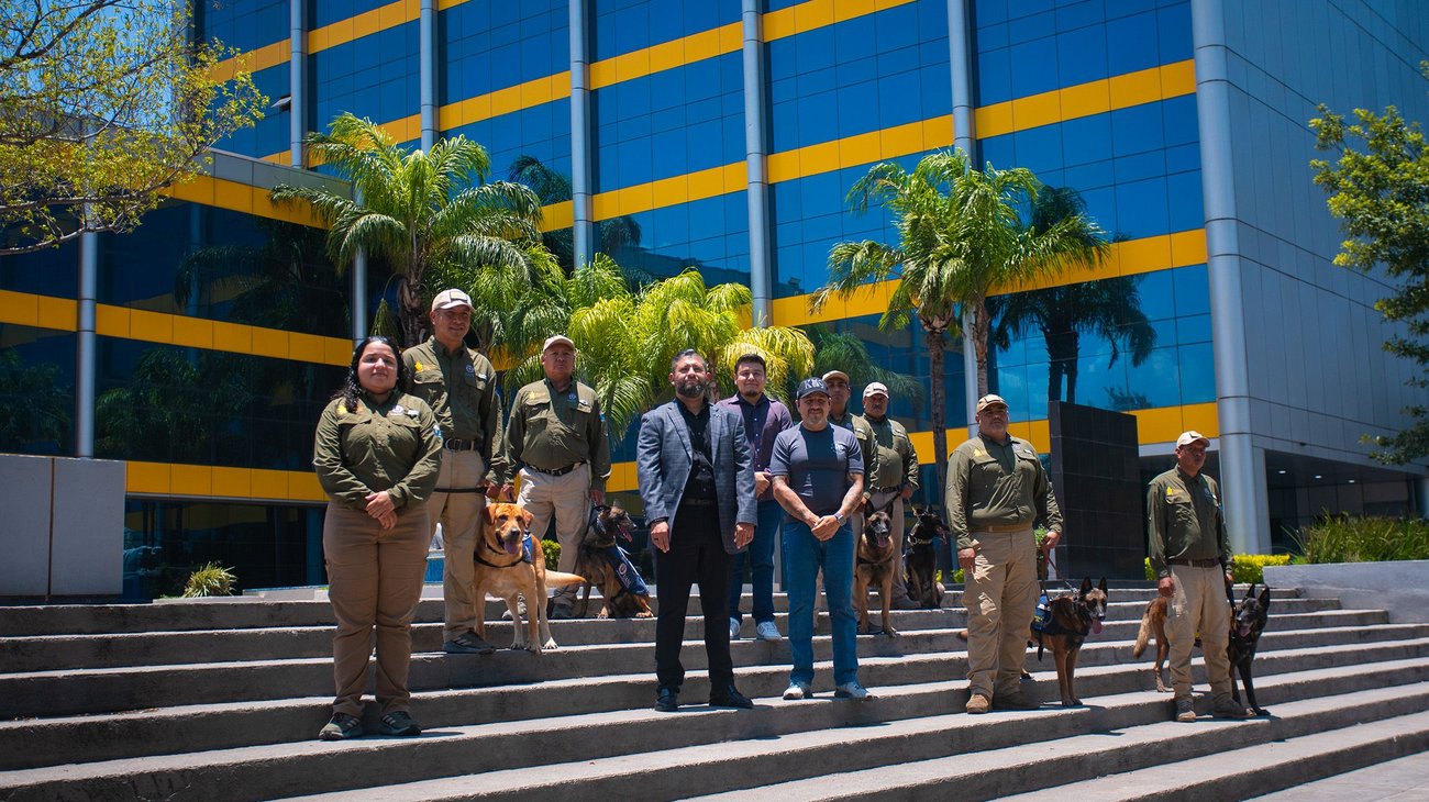 perros_seguridad_k9_9_346920948a