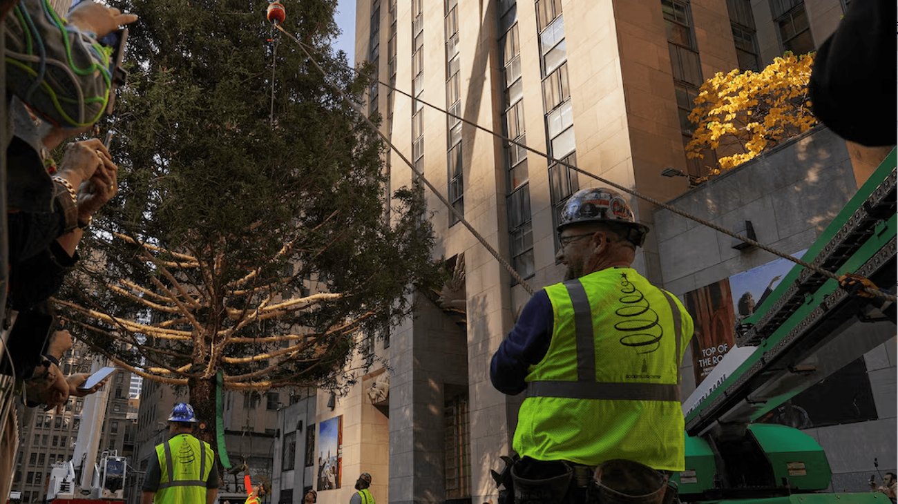 pino_rockefeller_5212051213