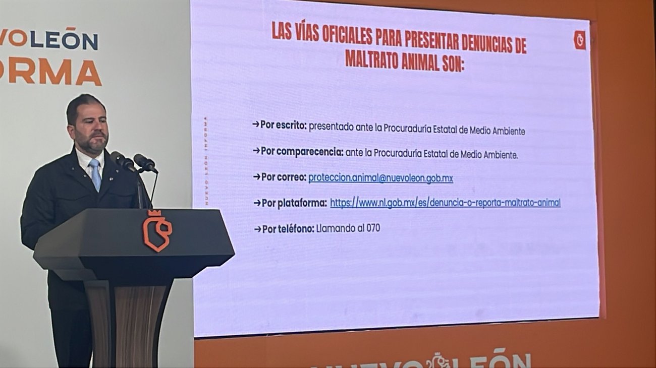 Pirotecnia afecta salud de las mascotas; Emiten recomendaciones 