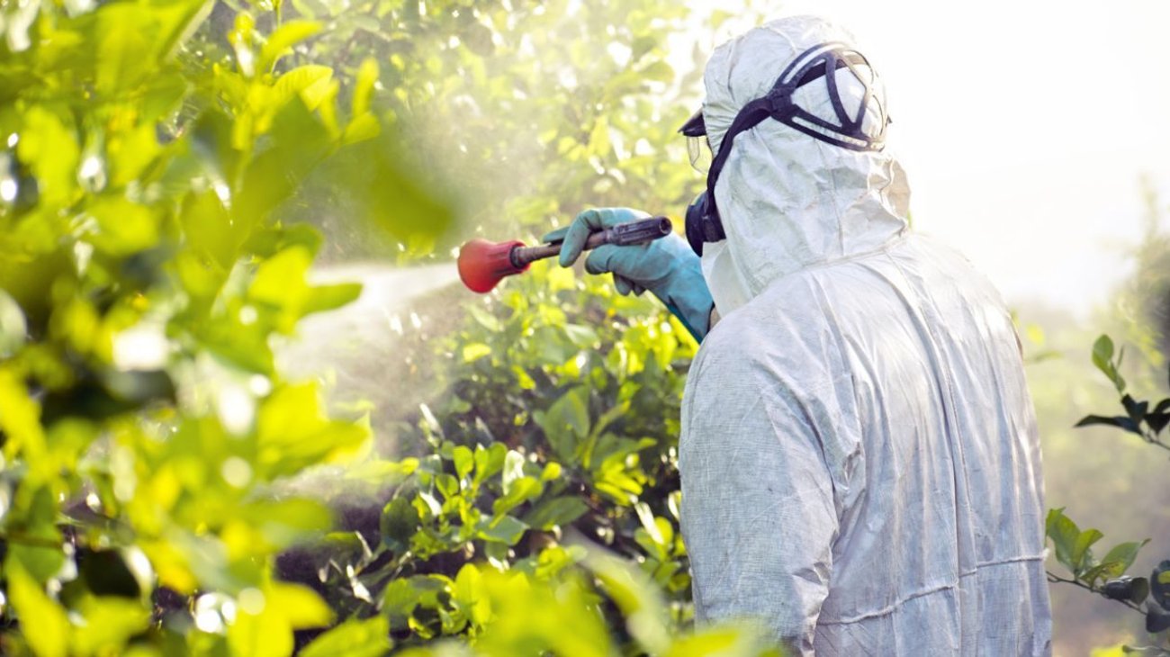 plagicidas_dbe9fcfbed